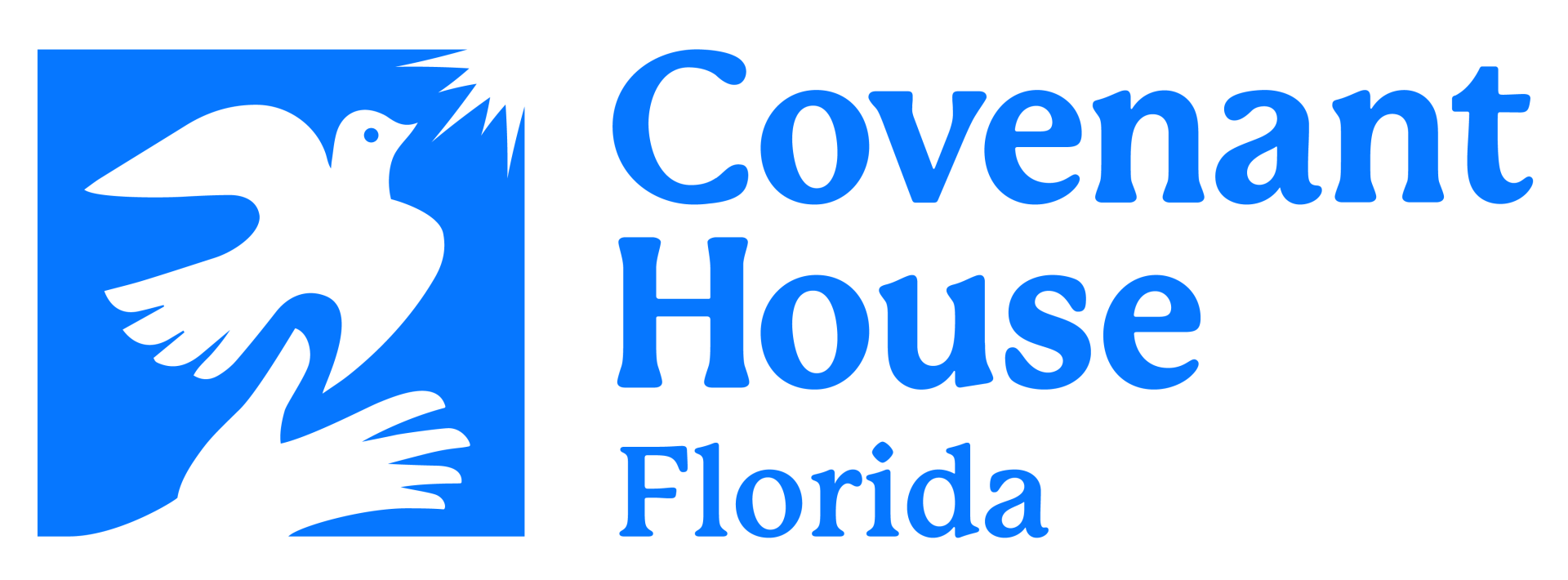 Covenant House Florida CHAMP Image