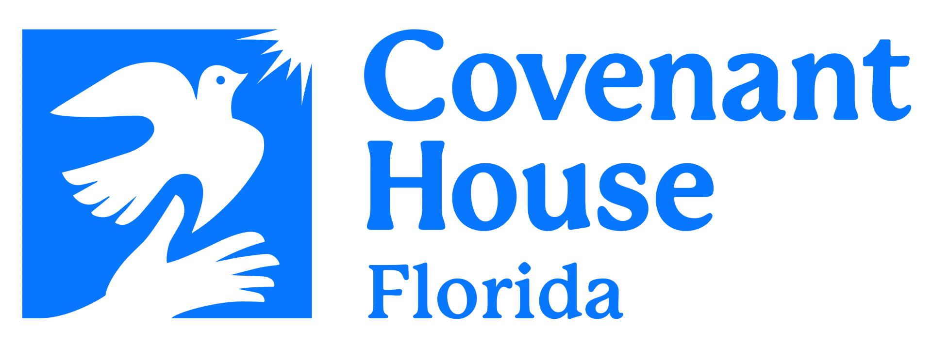 Covenant House Florida CHAMP Image