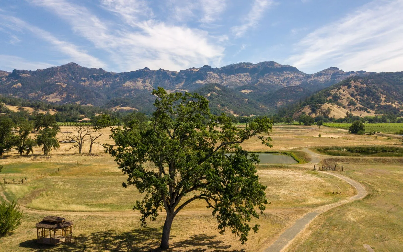 duffys-napa-valley-rehab-gallery-1.jpg