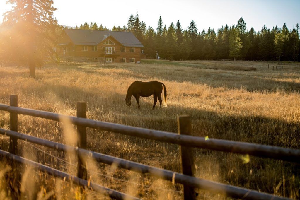 embark-at-flathead-gallery-1.jpg