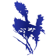 Fair Park Counseling Image