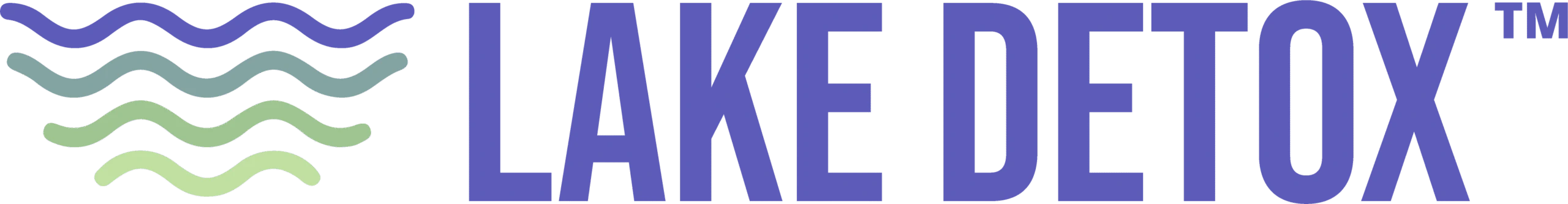 Lake Wellness Center Image