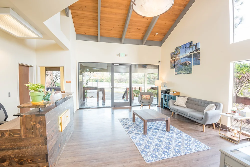 madrona-recovery-for-teens-gallery-1.webp