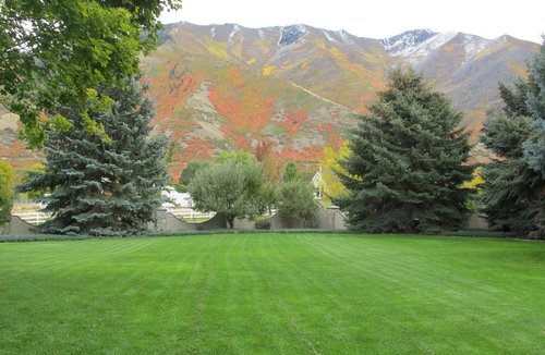 maple-mountain-mental-health-wellness-2-gallery-10.jpg