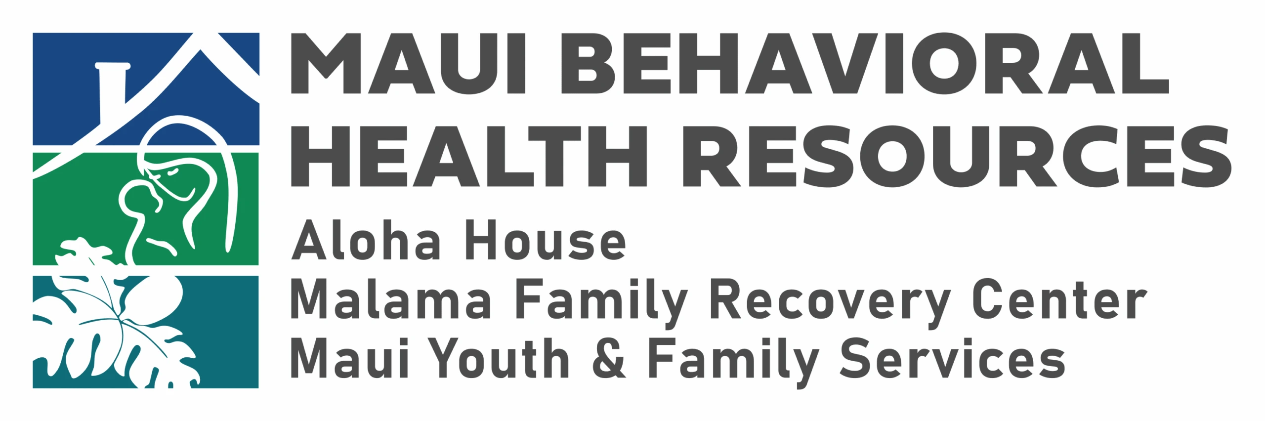Maui Youth and Family Services Adolescent Community Based Program Image