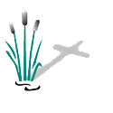 Mended Reeds Mental Health Image