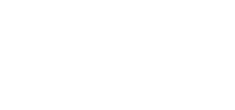 Mount Rogers Community Services Board ACT Image