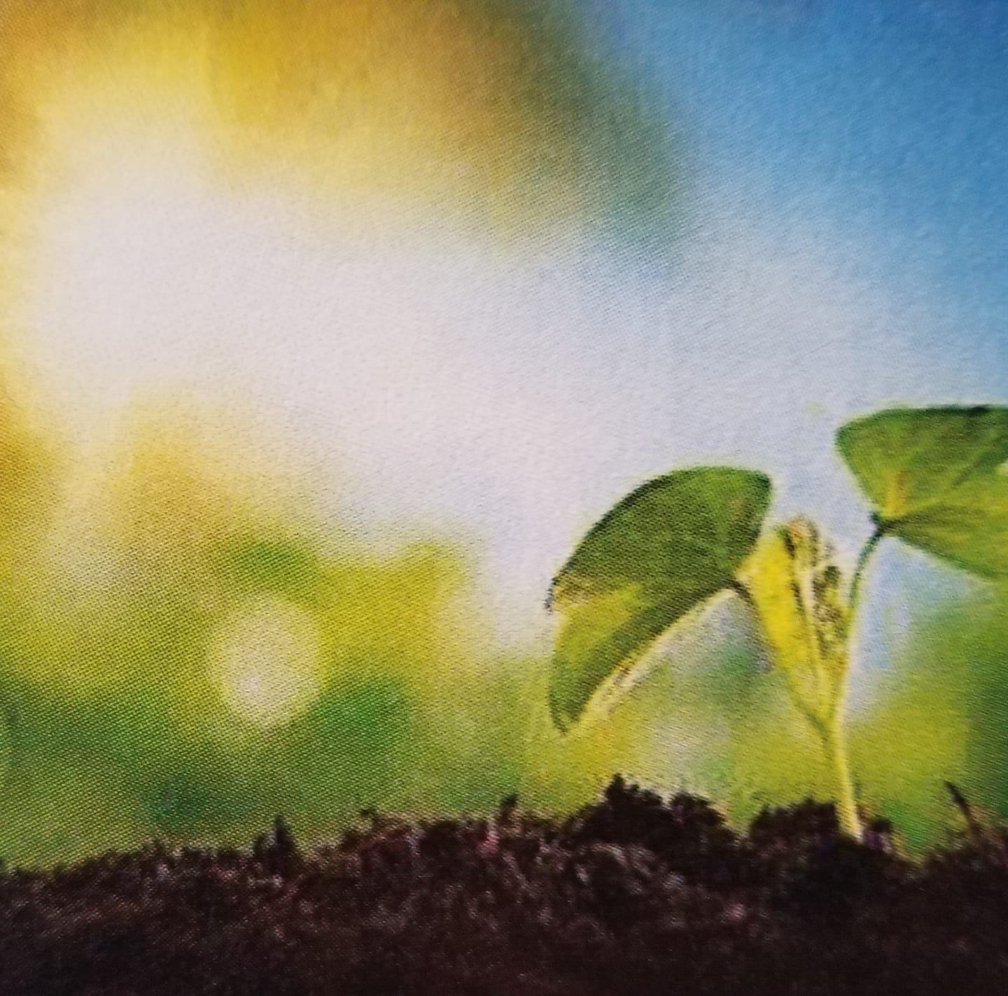 New Beginnings Counseling and Support Services Image