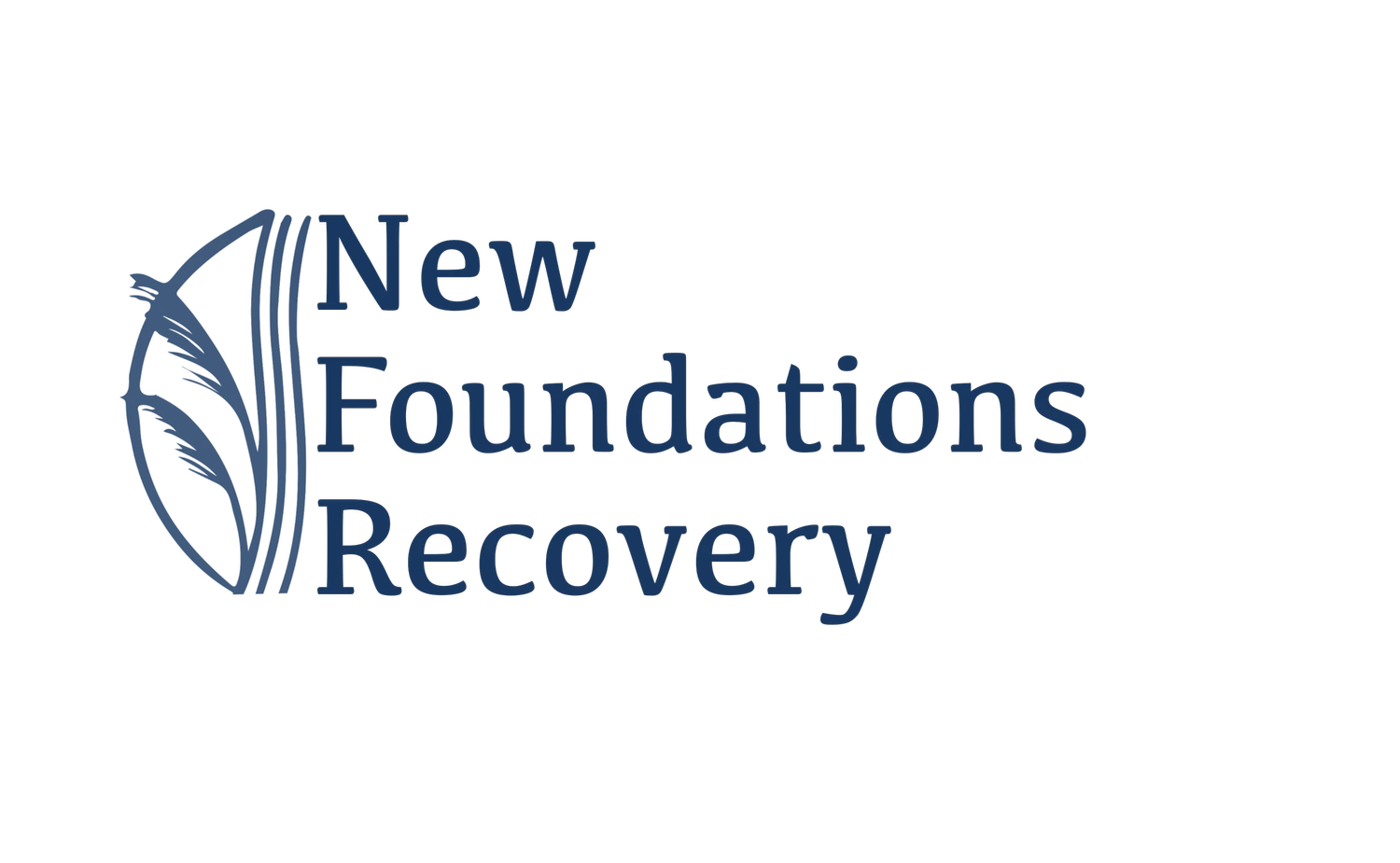 New Foundations Recovery Image