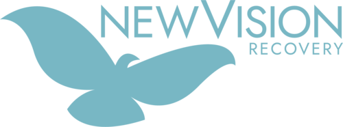 New Vision Recovery Image