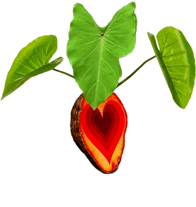 Ohana Makamae Image