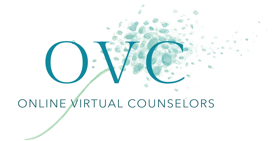 Online Virtual Counselor Zev Berkowitz Image