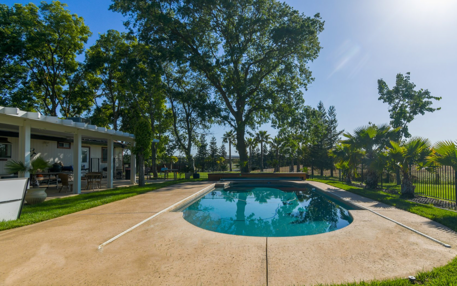 palm-tree-ranch-herald-gallery-1.png
