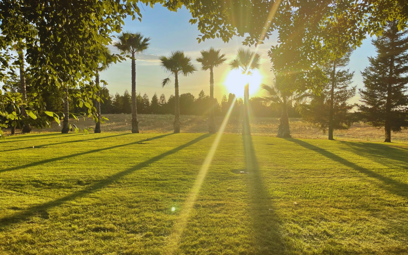 palm-tree-ranch-herald-gallery-2.png