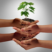 PATS Prevention and Treatment Services Image