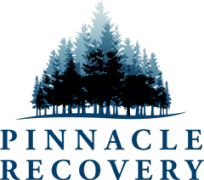 Pinnacle Recovery Image