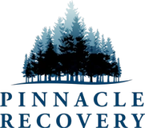 Pinnacle Recovery Image