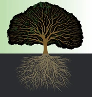 Potentials Image