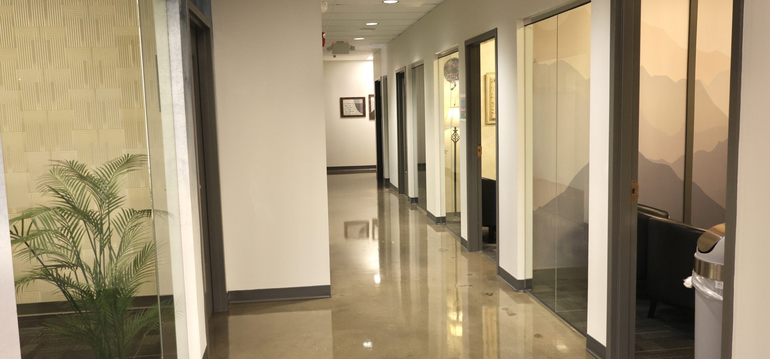 provive-wellness-brentwood-gallery-6.jpg