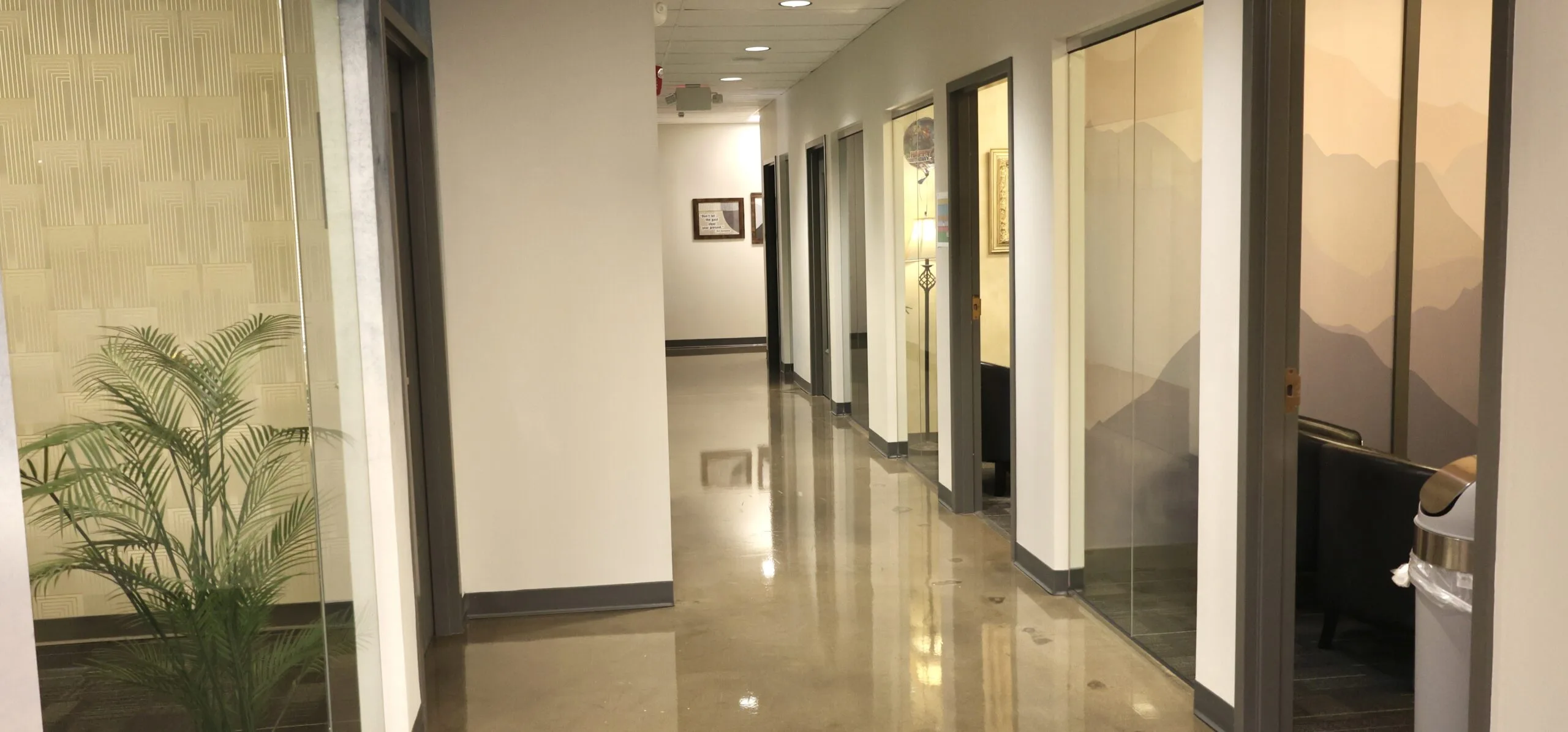provive-wellness-brentwood-gallery-6.jpg