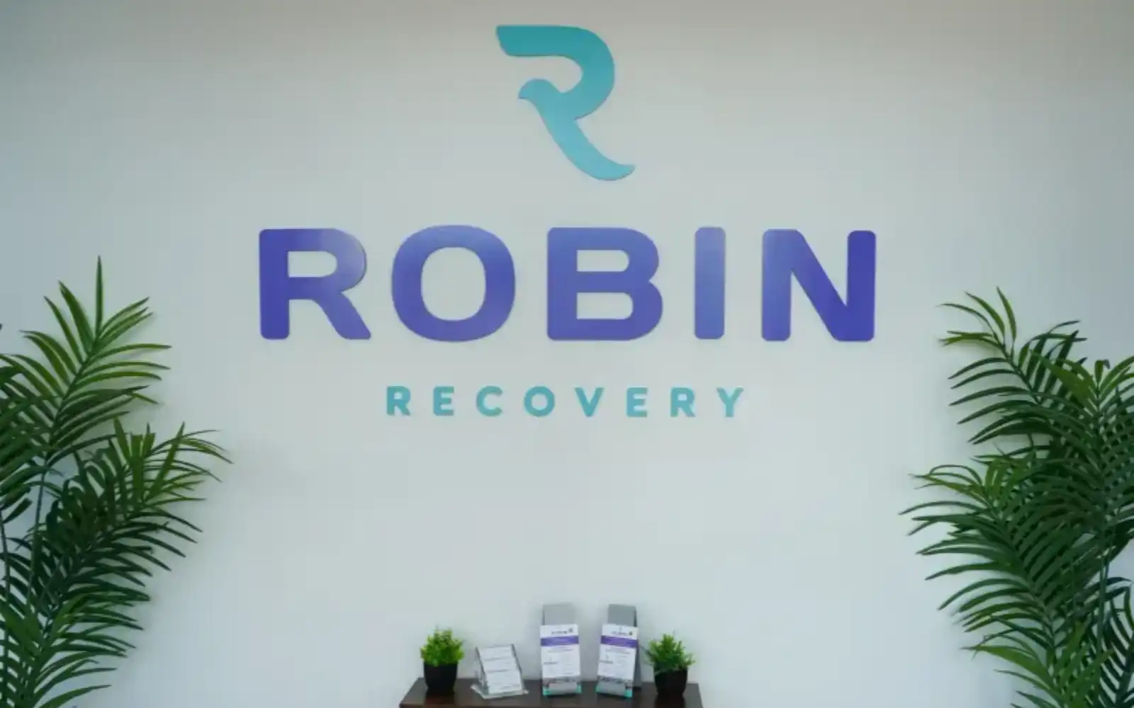 robin-recovery-gallery.webp