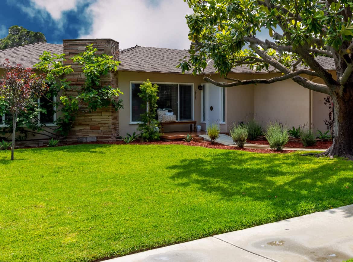 saddleback-recovery-gallery.jpg