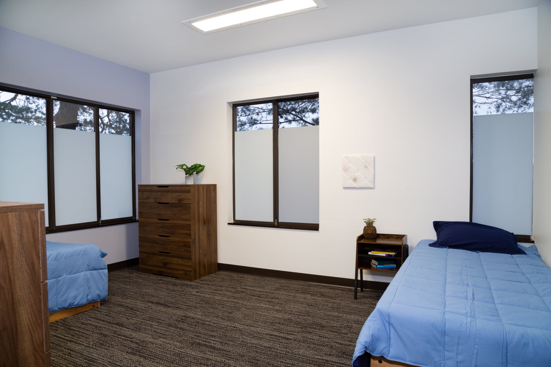 suncloud-health-institute-for-eating-disorders-and-addiction-gallery.jpg