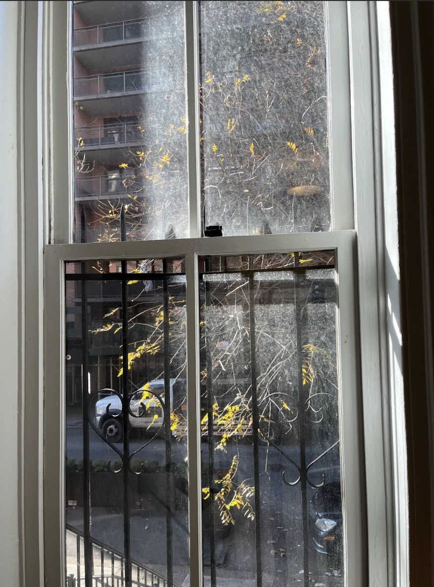 the-bridge-nyc-82nd-street-house-gallery-17.png