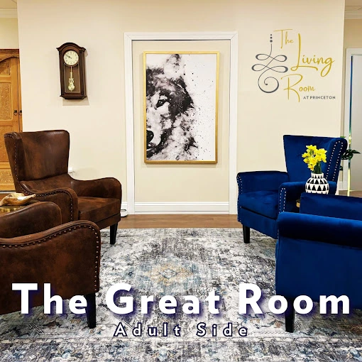 the-living-room-at-princeton-2-gallery-4.jpg