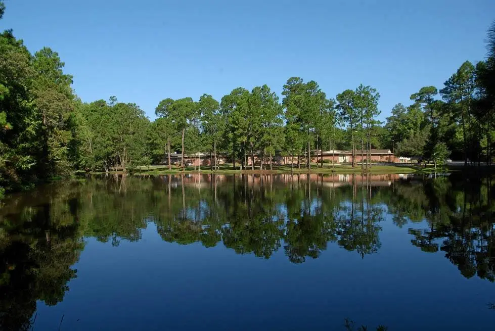 the-pines-at-willingway-gallery.png