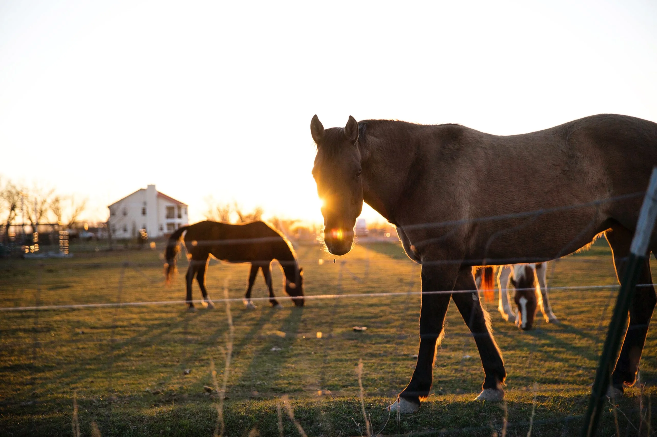 the-ranch-tennessee-2-gallery-17.jpg