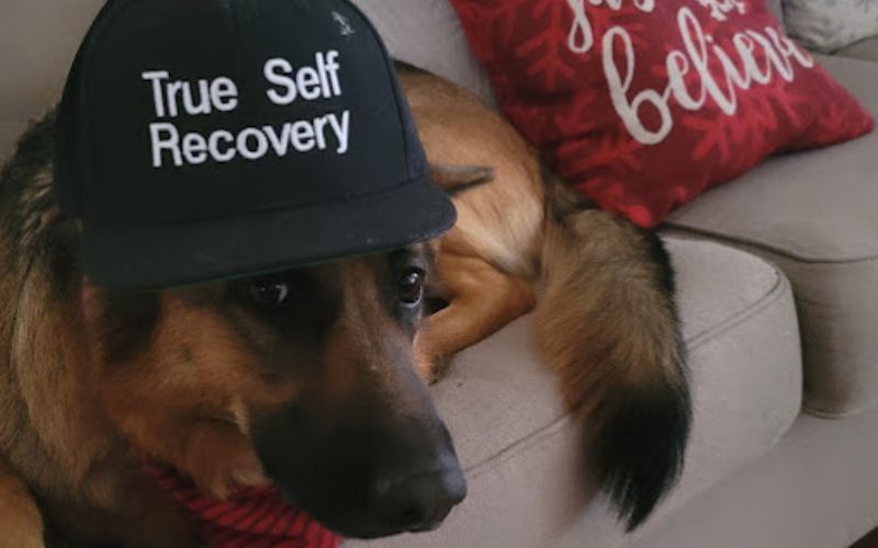 true-self-recovery-rogers-gallery-2.jpg