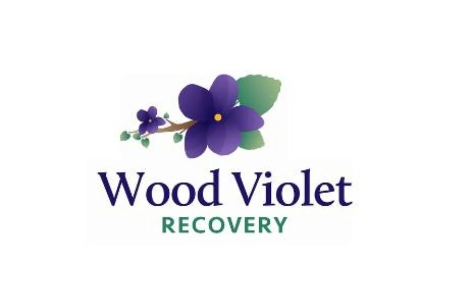 Wood Violet Recovery Image