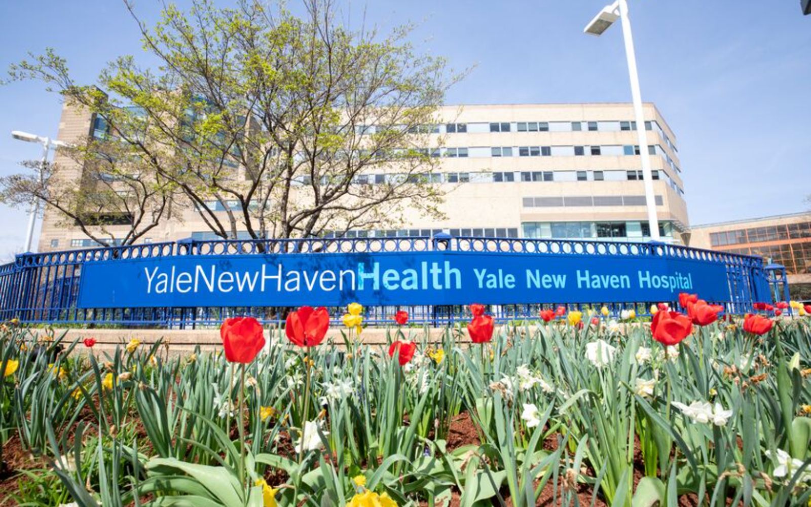 yale-new-haven-health-york-street-campus-gallery.jpg